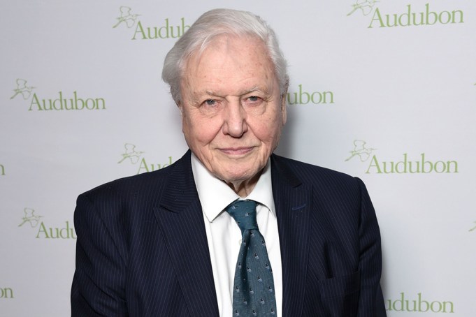 Sir David Attenborough at arrivals for The National Audubon Society Annual New York City Gala, The Rainbow Room, New York, NY March 1, 2018. Photo By: Derek Storm/Everett Collection