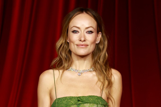 LOS ANGELES, CALIFORNIA - OCTOBER 19: Olivia Wilde attends The Fourth Annual Academy Museum Gala at Academy Museum of Motion Pictures on October 19, 2024 in Los Angeles, California. (Photo by Matt Winkelmeyer/WireImage)