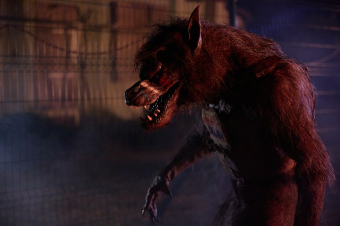 Director Steven C. Miller's WEREWOLVES, a Briarcliff Entertainment release. Credit: Todd Stefani / Briarcliff Entertainment. © 2024 All Rights Reserved.